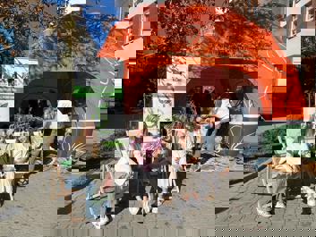 promotion with plants