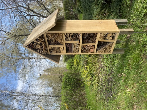 picture of the house for insects