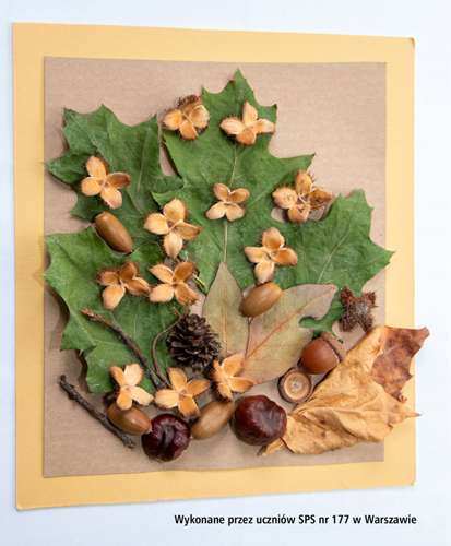 Prezent ze SPS nr 177 w Warszawie