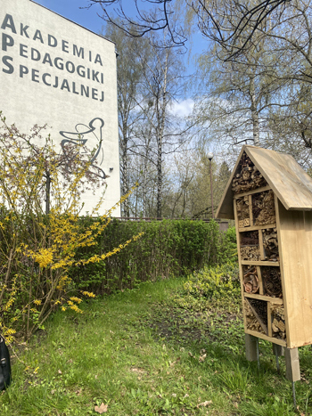 zdjęcie hotelu dla owadów